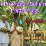 Coconut Promotion Scheme 2026 के तहत खुश नारियल किसान काका अपनी पत्नी के साथ हरे-भरे नारियल बाग में खड़े हैं, हाथ में ताजा नारियल लिए मुस्कुराते हुए, पीछे प्रोसेसिंग यूनिट दिख रही है, केरल के नारियल फार्म का सुंदर नजारा, सूरज की रोशनी पत्तों से छनकर आ रही है।