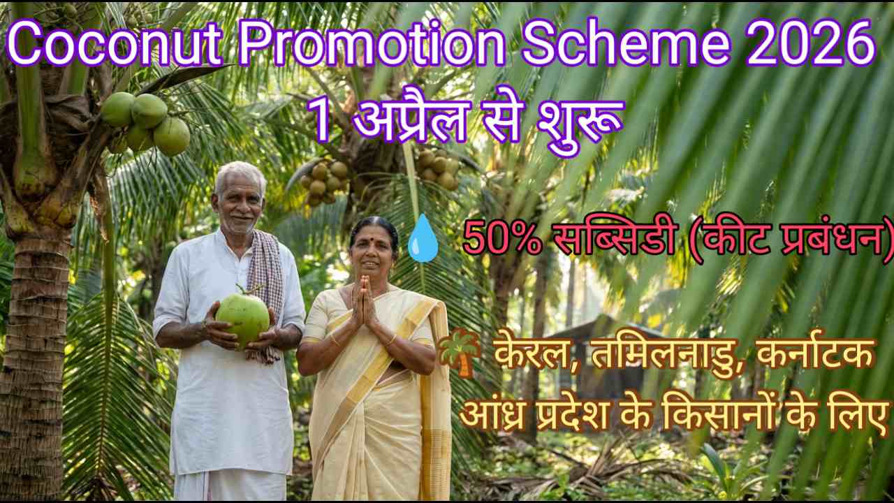 Coconut Promotion Scheme 2026 के तहत खुश नारियल किसान काका अपनी पत्नी के साथ हरे-भरे नारियल बाग में खड़े हैं, हाथ में ताजा नारियल लिए मुस्कुराते हुए, पीछे प्रोसेसिंग यूनिट दिख रही है, केरल के नारियल फार्म का सुंदर नजारा, सूरज की रोशनी पत्तों से छनकर आ रही है।